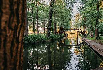 Spreewald erleben