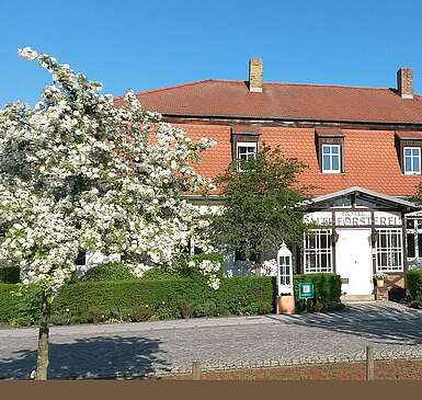 Alte Försterei Kloster Zinna Frühling